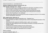 Executive assistant Resume Template Administrative assistant Resume Example Write Yours today