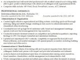 Executive assistant Resume Template Resume for An Executive assistant Susan Ireland Resumes