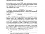Executive Director Contract Template 32 Employment Agreement Templates Free Word Pdf format