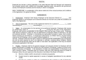 Executive Director Contract Template 32 Employment Agreement Templates Free Word Pdf format