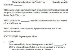 Executive Director Contract Template Agreement Examples