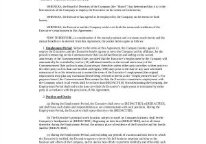 Executive Employment Contract Template Executive Employment Contract Sample 9 Examples In Word