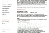 Executive Resume format Word 6 Executive Resume Templates Word Website WordPress Blog