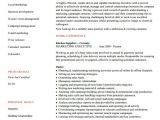 Executive Resume format Word 6 Executive Resume Templates Word Website WordPress Blog