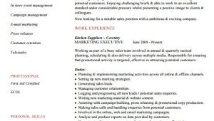 Executive Resume format Word 6 Executive Resume Templates Word Website WordPress Blog