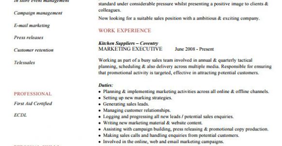 Executive Resume format Word 6 Executive Resume Templates Word Website WordPress Blog