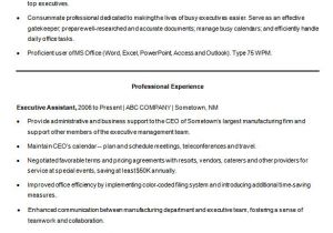 Executive Resume format Word A Successful Resume Template Open Office for Job Seeker
