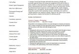 Executive Resume format Word Executive Resume Template 14 Free Word Excel Pdf