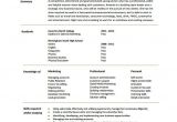 Executive Resume format Word Executive Resume Template 14 Free Word Excel Pdf