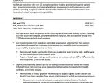 Executive Resume format Word Executive Resume Template 14 Free Word Excel Pdf