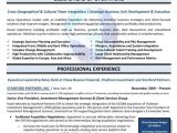 Executive Resume Template Free 14 Executive Resume Templates Pdf Doc Free Premium