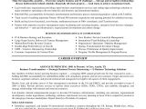 Executive Resume Template Free 7 Example Of Executive Resume Gcsemaths Revision