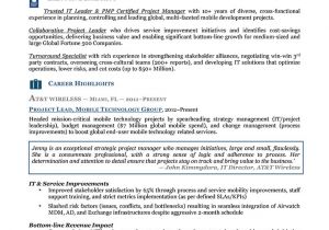 Executive Resume Template Free Executive Resume Samples Free Resume Examples Punchy