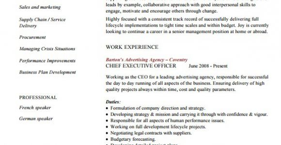 Executive Style Resume Template 14 Executive Resume Templates Pdf Doc Free Premium
