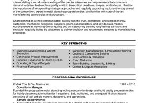 Executive Style Resume Template Executive Resume Template Basic Resume Templates