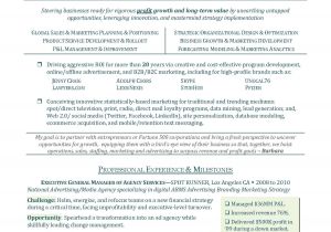 Executive Style Resume Template Executive Resume Template Tryprodermagenix org