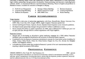 Executive Style Resume Template Executive Resume Template Word Free Samples Examples