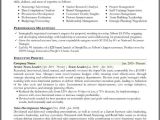 Executive Style Resume Template Resume format Resume format Types