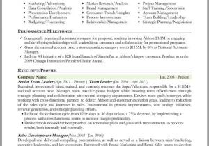 Executive Style Resume Template Resume format Resume format Types