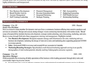 Executive Style Resume Template Resume Samples Types Of Resume formats Examples Templates