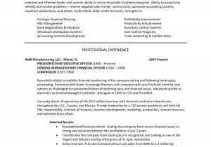 Executive Style Resume Template Resume Template Executive Sample Resume Cover Letter format