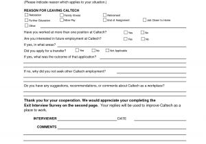 Exit Interview forms Templates Exit Interview Template Cyberuse