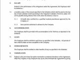 Expatriate Contract Of Employment Template Free Printable Employment Contract Sample form Generic