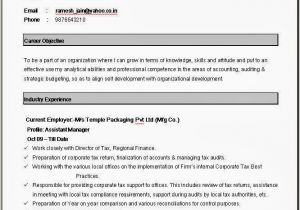 Experience Resume format Word File Download Simple Resume format In Word