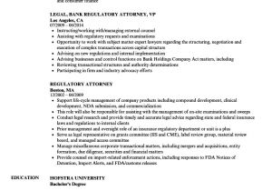 Experienced attorney Resume Samples Contemporary Experienced Lawyer Resume Samples Frieze