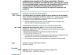 Experienced Rn Resume Templates Experienced Nurse Resume Musiccityspiritsandcocktail Com