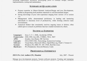 Experienced software Engineer Resume 15 Ways On How to Get the Realty Executives Mi Invoice