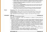 Experienced software Engineer Resume 5 6 software Developer Resume Examples Cvideas