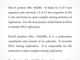 Explain How Dna Serves as Its Own Template During Replication Printable Explain How Dna Serves as Its Own Template