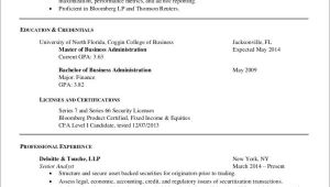 Extensive Resume Sample 5 Quick Fixes to Long Resume Samples Templates Sample