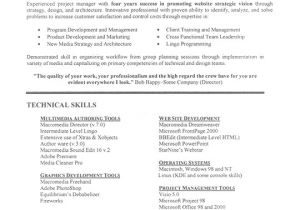 Extensive Resume Sample It Project Manager Resume Example