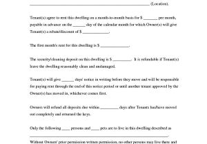 Fake Contract Template 10 Best Of How to Make A Fake Lease Agreement Www Iaeifl org