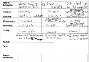 Family Behavior Contract Template Below is An Example Of A Behavior Contract