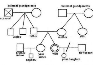 Family Genome Template 1000 Images About 3 Generation Family Genogram On