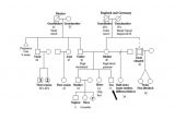 Family Genome Template 37 Family Tree Templates Pdf Doc Excel Psd Free