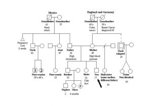 Family Genome Template 37 Family Tree Templates Pdf Doc Excel Psd Free