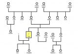 Family Genome Template 40 Genogram Templates Pdf Doc Psd Free Premium