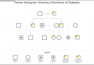 Family Genome Template Family Genome Template Images Professional Report