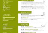 Fancy Resume Templates Fancy Cv Template Wanted Tex Latex Stack Exchange