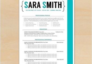 Fancy Resume Templates Resume Template Cv Template Instant by theresumeshoppe On