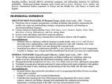 Fashion Student Resume Tattoo King World Curriculum Vitae Examples for Students