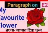 Favourite Flower Rose Cue Card Red Rose Flower Cue Card
