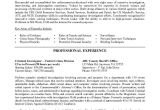 Federal Job Application Resume Federal Government Resume Samples if It is Your First for