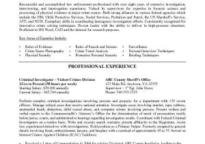 Federal Job Application Resume Federal Government Resume Samples if It is Your First for