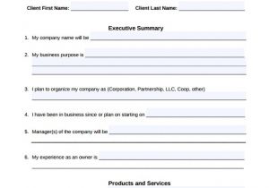 Fill In the Blank Business Plan Template 16 Sample Small Business Plans Sample Templates