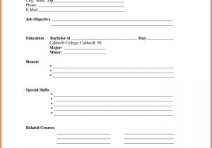Fill In the Blank Business Plan Template Free Business Plan Worksheet Template Templates Resume